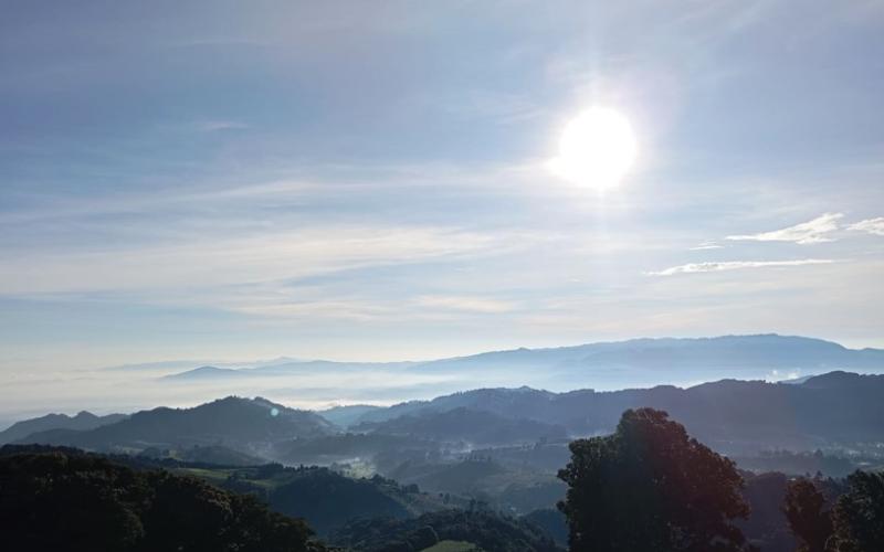 Sol guate
