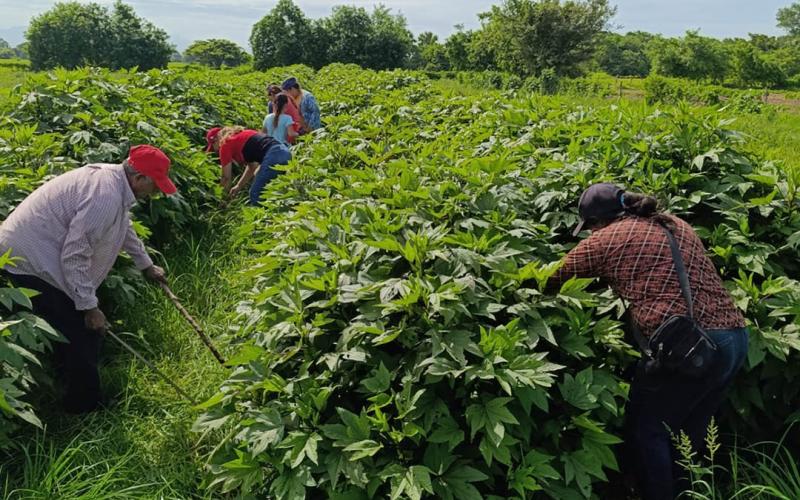 Comunidades de Santa Rosa avanzan para ser incluidas en el programa APA 