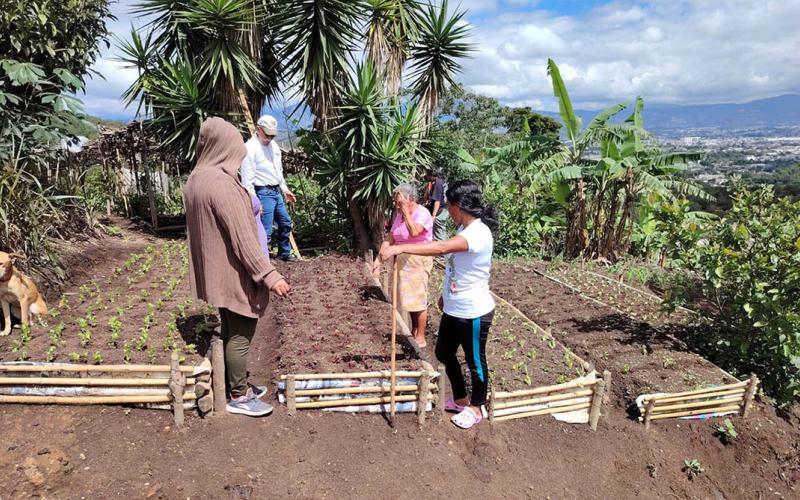 Huerto comunitario de San Miguel Petapa contribuirá con la seguridad alimentaria
