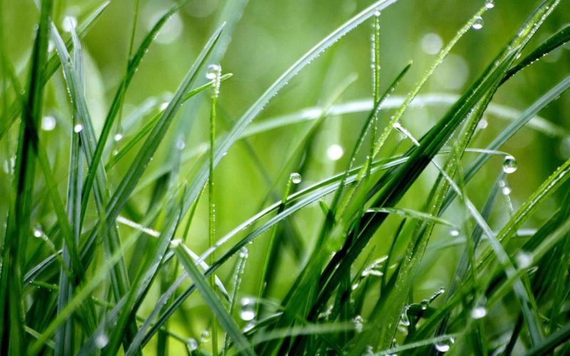 Se emite alerta agropecuaria  y recomendaciones por lluvias