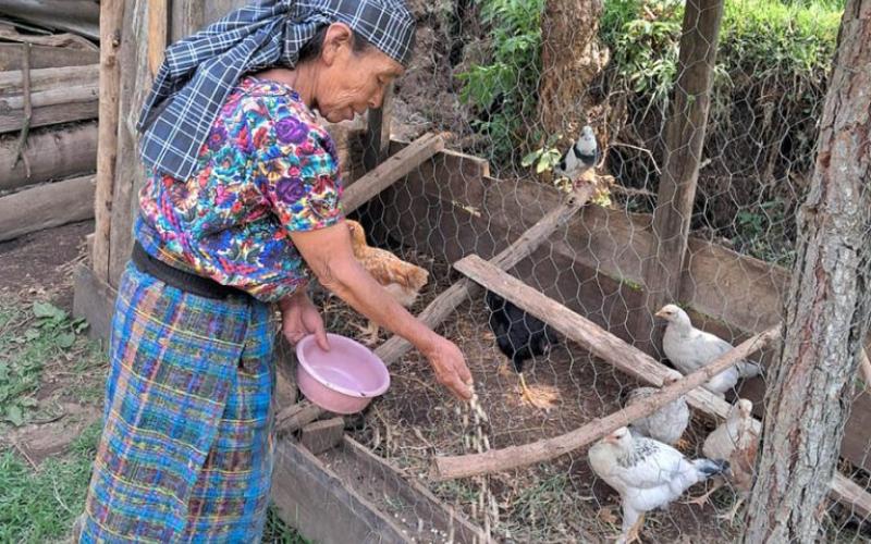 Impulsan proyectos de Alimentos por Acciones para beneficiar a familias de Zacapa