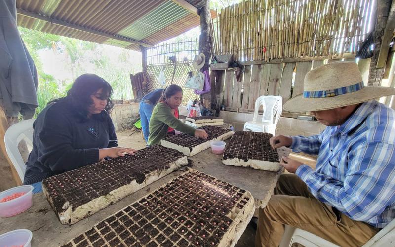 Agricultores capacitados en técnicas de protección de cultivos
