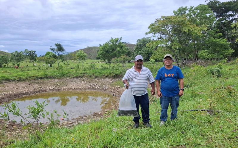 Cultivos de tilapia fortalecen la seguridad alimentaria y el desarrollo rural en Petén