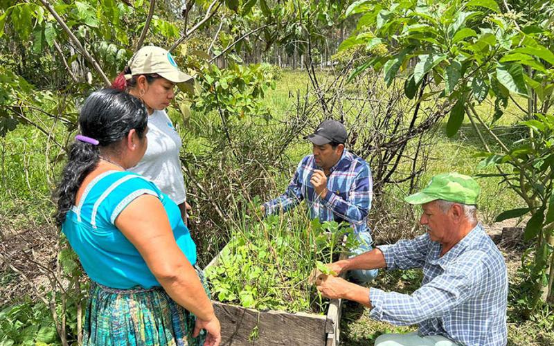 Entregan abono orgánico y brindan apoyo técnico en Poptún