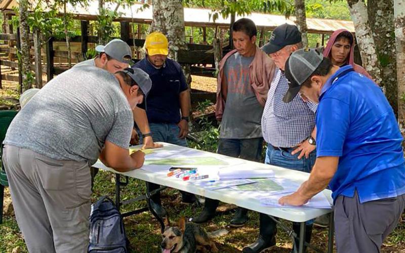 Ganaderos de Petén avanzan hacia una producción sostenible