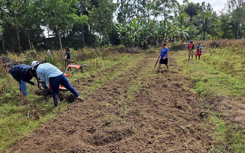 Grupos de mujeres crean huerto mixto