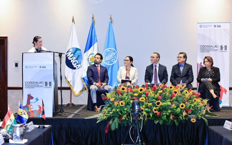 Guatemala lidera primer Foro de Inversiones para una Ganadería Sostenible en América Latina