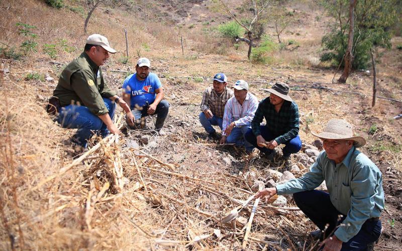 La riqueza geográfica y condiciones climáticas favorables de Guatemala, contribuyen a la existencia de una diversidad de suelos agrícolas. Cada tipo de estos posee características particulares que determinan su fertilidad y el tipo de cultivos que pueden desarrollarse en él.  El Ministerio de Agricultura, Ganadería y Alimentación (MAGA), por medio de la Dirección de Información Geográfica, Estratégica y Gestión de Riesgos (DIGEGR), realiza estudios y análisis de los suelos del país, con el objetivo de conoc