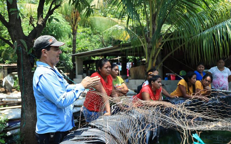 Producción de tilapia en armonía con el ambiente