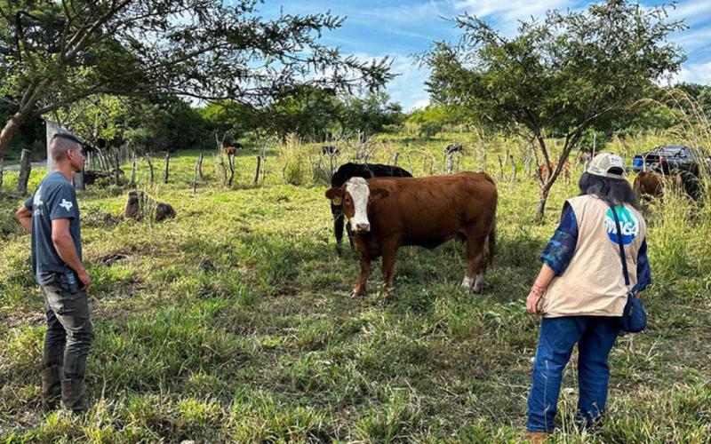 Proteja a sus animales en caso de sismos