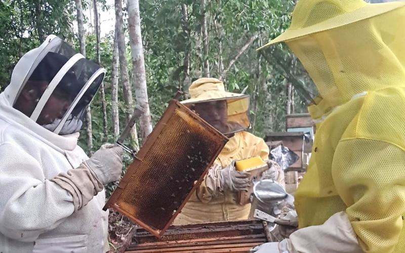 Se brinda asistencia técnica apícola en caserío El Achotal, Poptún