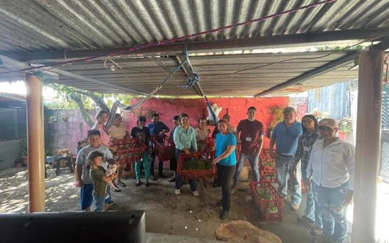 Agricultores Santa Rosa reciben pilones de hortalizas y capacitación en manejo de conejos