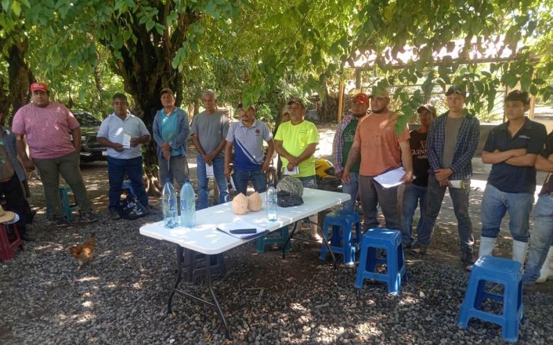 Capacitación fortalece la producción agrícola de la Costa Sur
