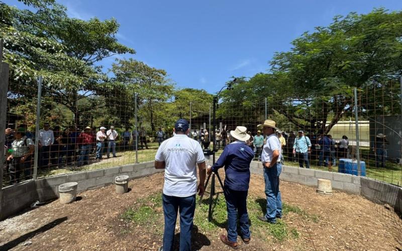 estacion