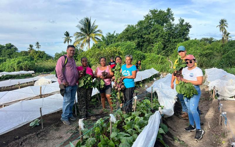 Día de Campo Agropecuario impulsa la agricultura familiar