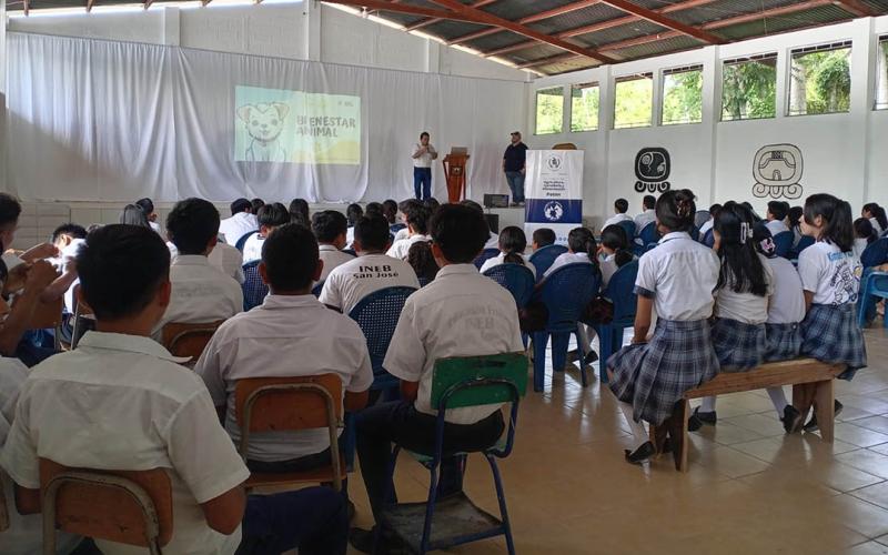Fomentan una cultura de respeto y protección animal en Petén