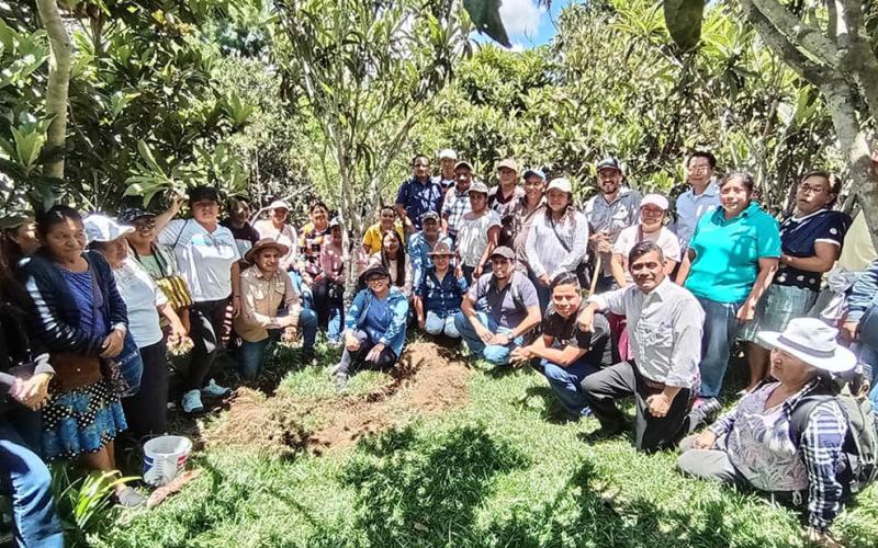 Fortalecen capacidades para el manejo integrado de la mosca de la fruta