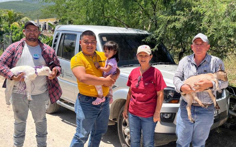 Impulsan mejoramiento genético caprino en Cabañas