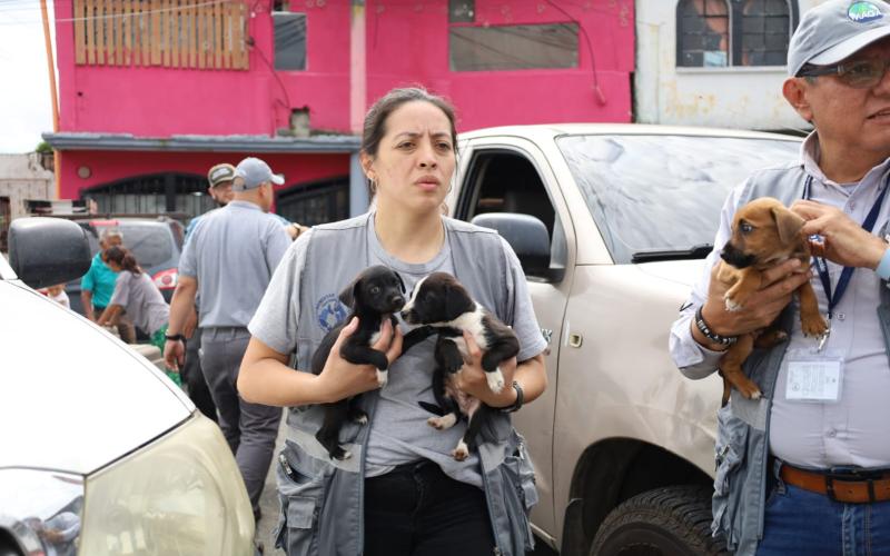 La UBA decomisa 13 perros víctimas de negligencia