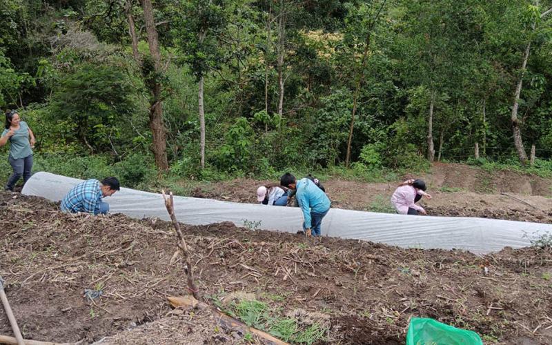 Mano a Mano impulsa el desarrollo de Chiquimula con los huertos comunales 