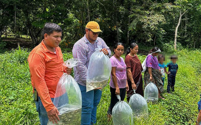 Mujeres de Sayaxché reciben alevines para fortalecer la seguridad alimentaria