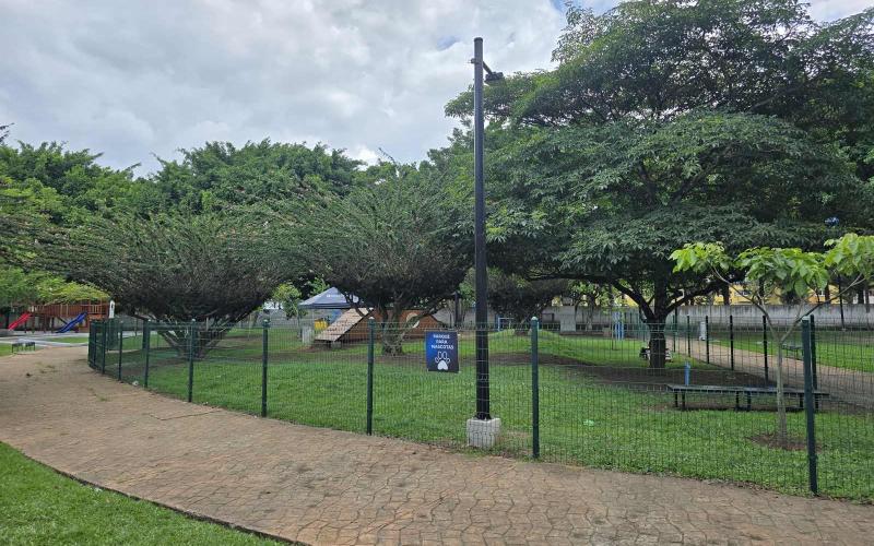 Campo Marte