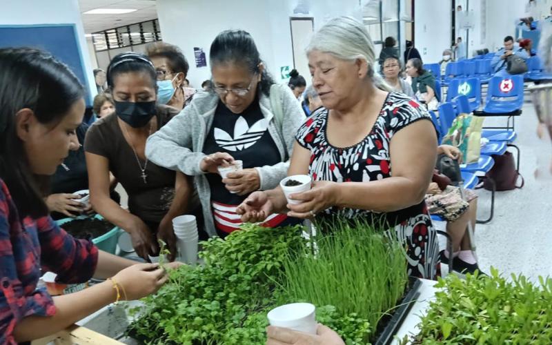 Adultos mayores capacitados en huertos familiares