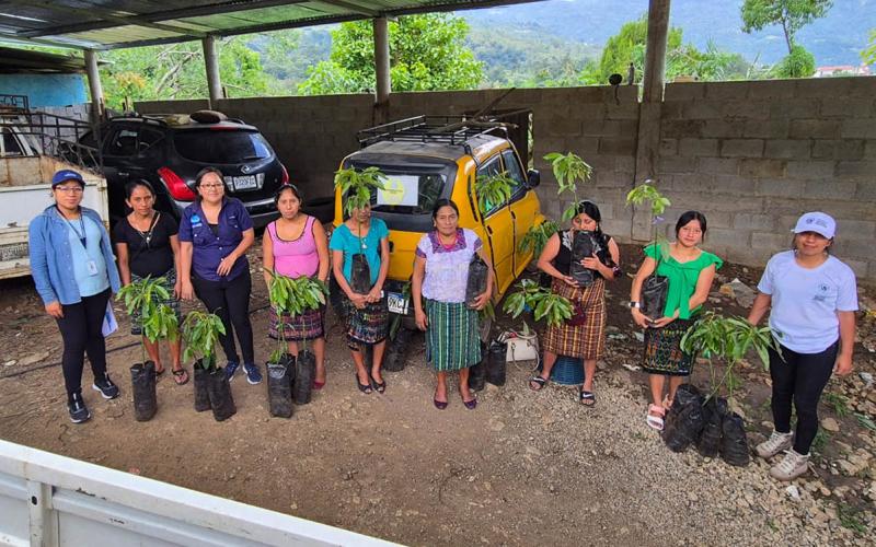 Donación de plantas frutales y semillas fortalece CADER de Huehuetenango 