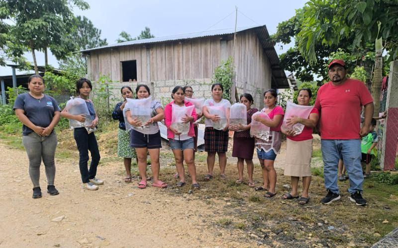 Entregan alevines de tilapia a comunidades de Dolores, Petén