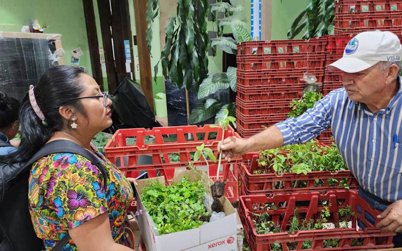 Entregan más de 35 mil pilones de hortalizas para huertos escolares 