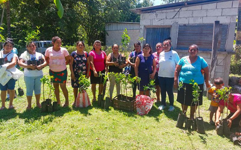 Impulsan producción de frutales en San Andrés, Petén