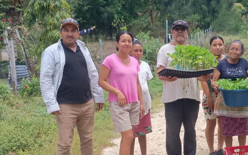 Impulsan producción familiar en Melchor de Mencos