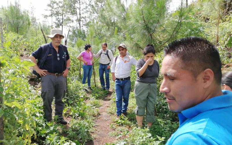 Impulsando la innovación en producción agrícola y la seguridad alimentaria de Alta Verapaz