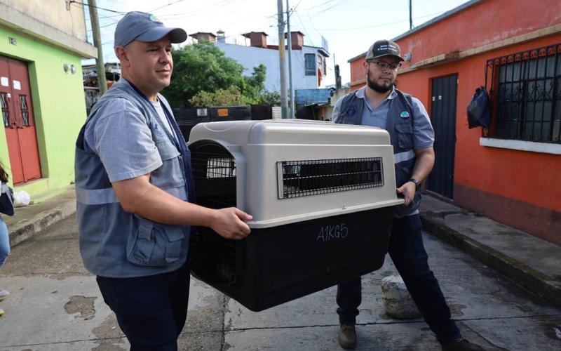 Integran mesa de trabajo por la protección de los animales en Uspantán