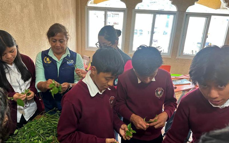 Promueven alimentación saludable en jóvenes de Almolonga