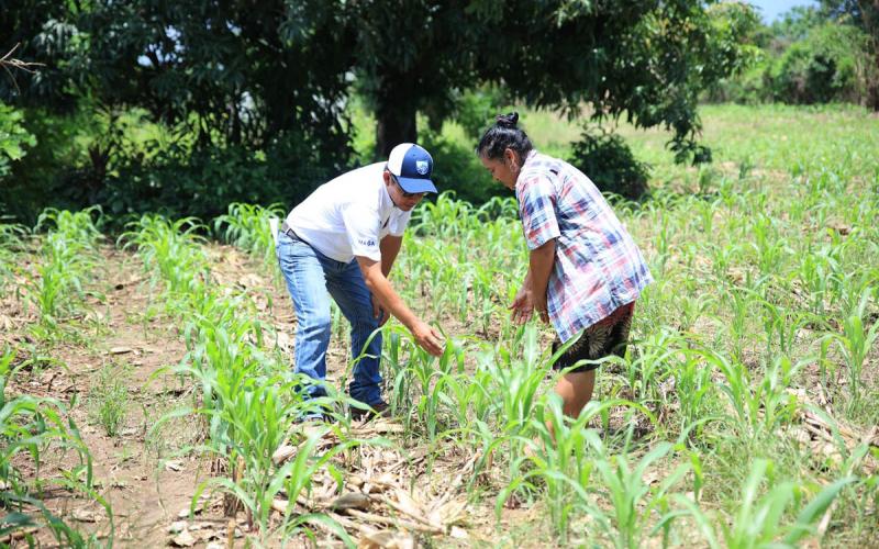 Seguro Agropecuario amplía cobertura y beneficiarios