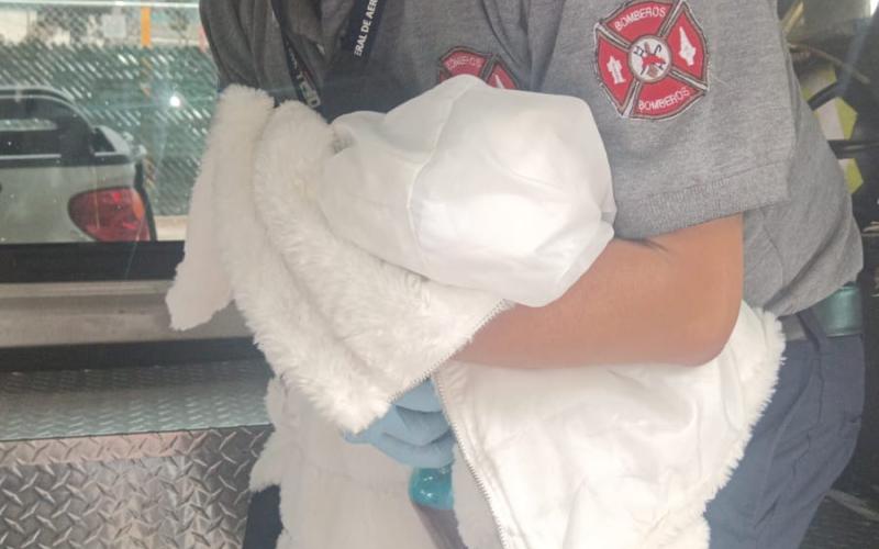 La cigüeña aterriza en el bulevar Juan Pablo II: Bomberos Aeronáuticos asisten parto en plena vía pública.