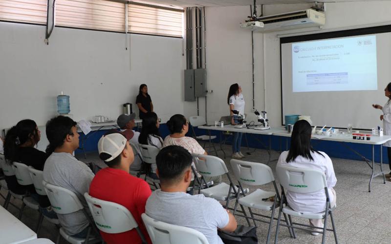 Aprenden acerca del diagnóstico de enfermedades de las abejas