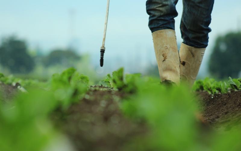 Control y regulación de insumos agrícolas fortalece la producción nacional