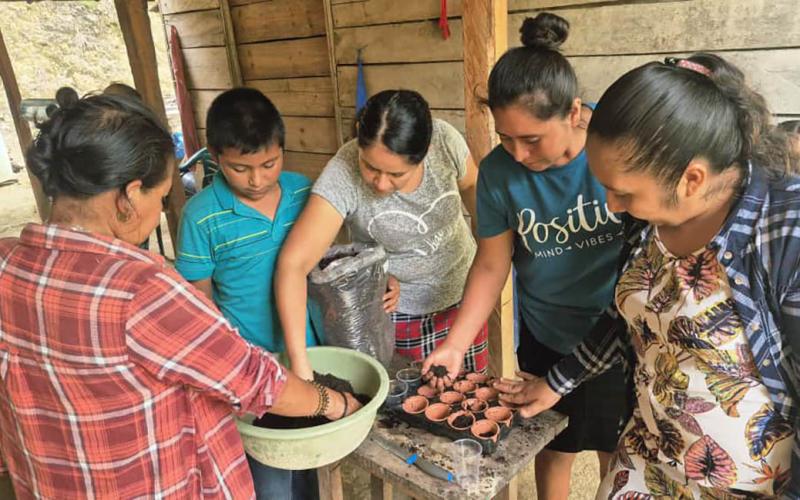 Elaboración de semilleros artesanales apoya la seguridad alimentaria