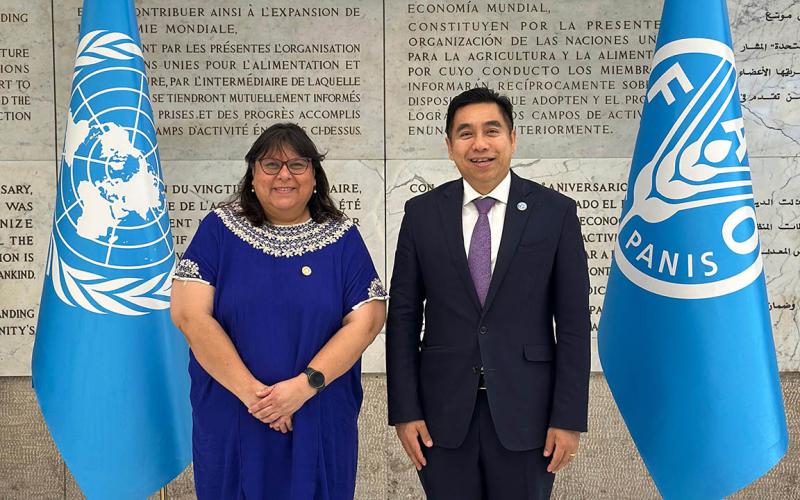 FAO ampliará cooperación en temas de producción y sanidad animal