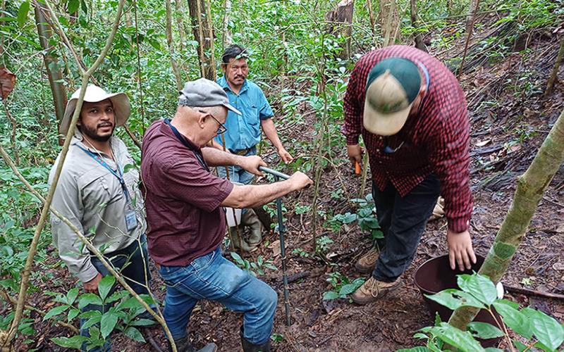 Realizan muestreo y recolección de suelos en Zacapa para análisis de fertilidad