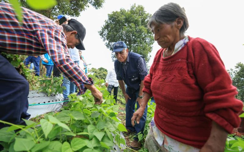 Visita de seguimiento al huerto comunitario modelo de Suquinay