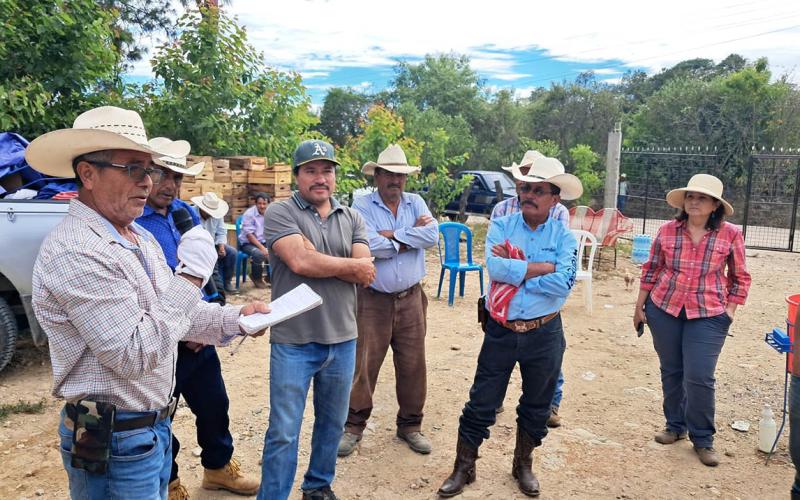 Caficultores de Jutiapa se preparan para nuevos mercados