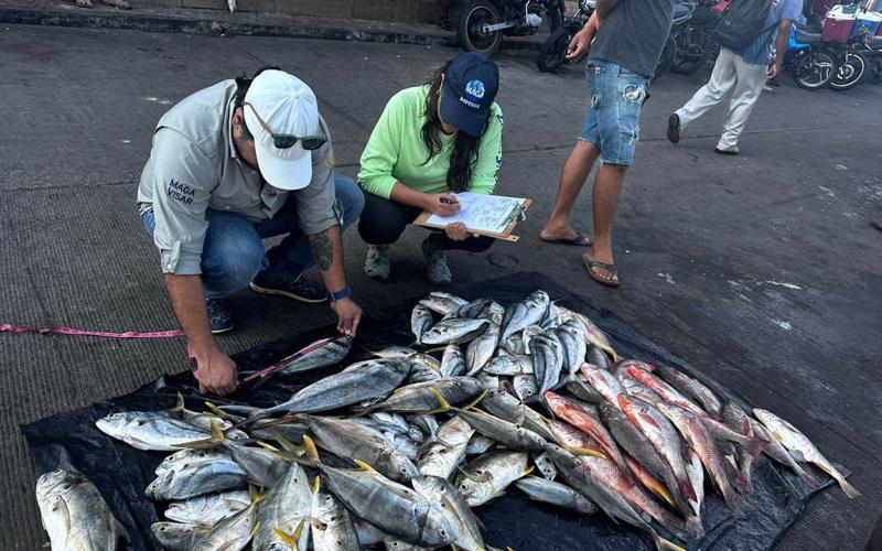 Día Mundial de la Pesca: Guatemala refuerza esfuerzos para fortalecer la pesca responsable
