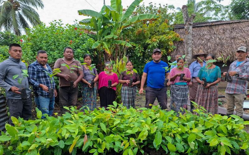 Entrega de plantas fortalece sistemas silvopastoriles en Petén