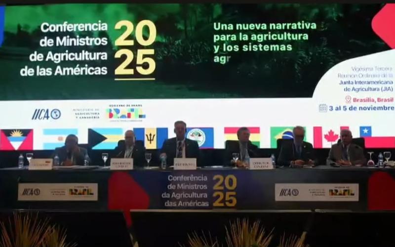 Guatemala participa en elección del nuevo director general del IICA