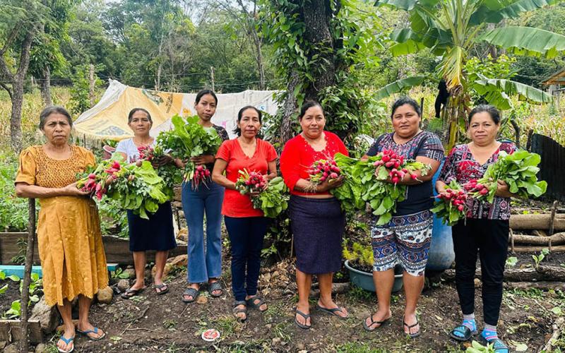 Impulsan producción hortícola de CADER en Chiquimula 