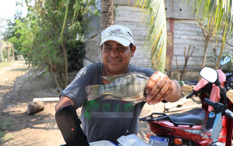 La tilapia, una fuente de nutrición para las familias guatemaltecas