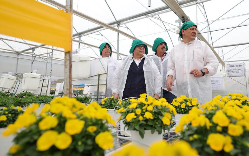 Tecnología automatizada impulsa producción de semillas ornamentales en Jalapa